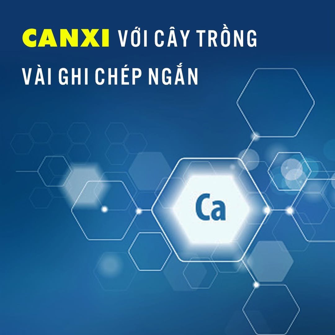 CANXI VỚI CÂY TRỒNG - VÀI GHI CHÉP NGẮN
