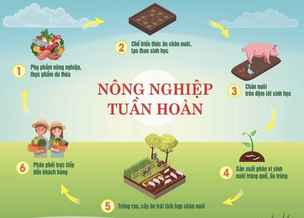 NÔNG NGHIỆP TUẦN HOÀN