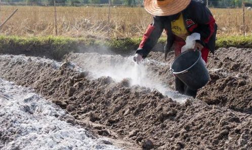 GIẢI PHÁP CẢI TẠO ĐẤT PHÈN HIỆU QUẢ